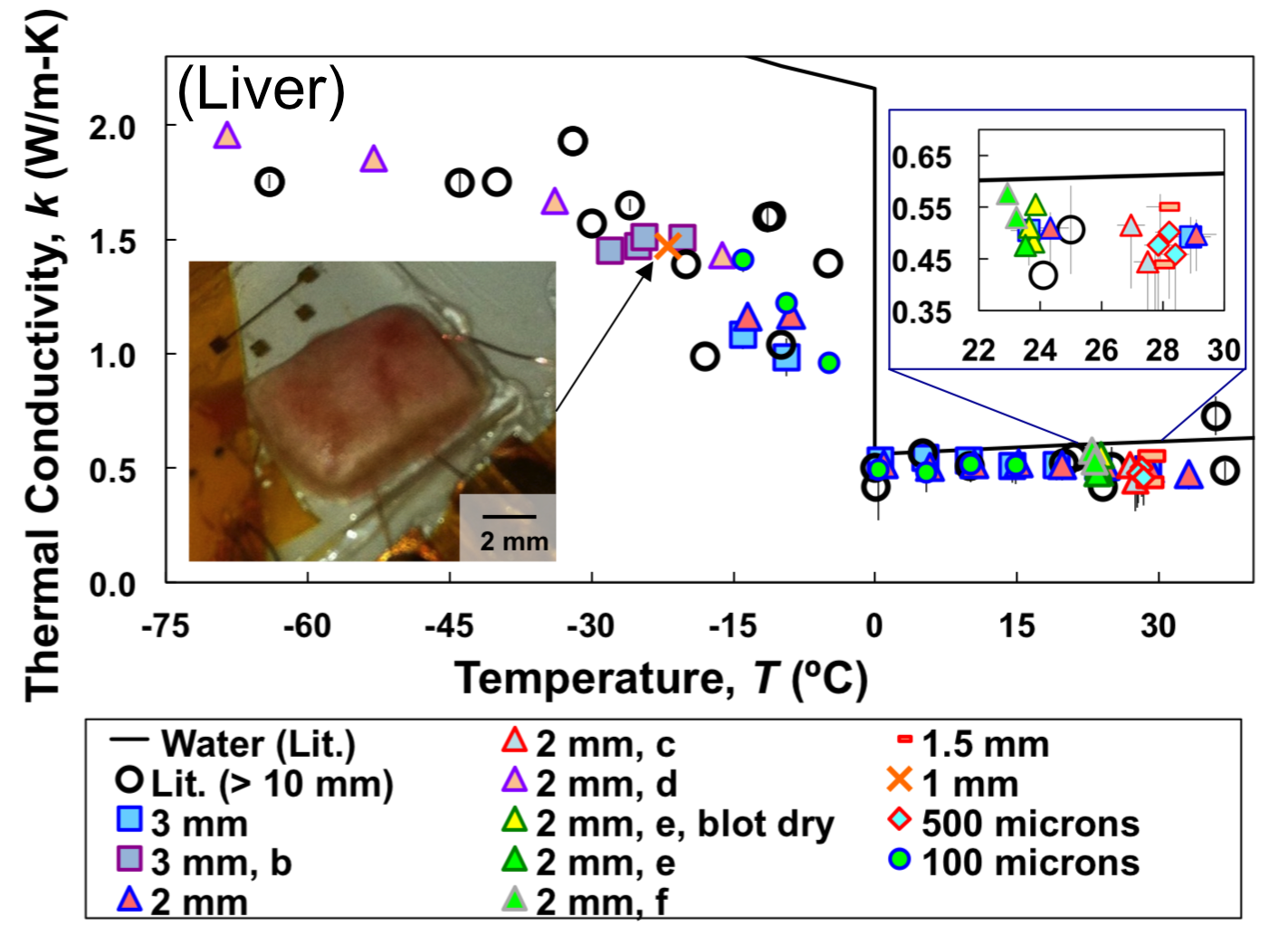 Data for the measurement of the thermal conductivity of mouse liver ranging from 3 mm to less than 1 mm thick