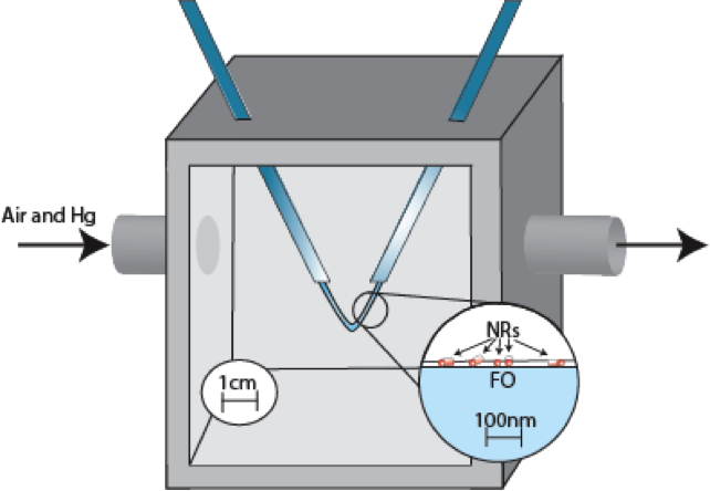 Design of mercury detector, utilizing gold nanoparticles on an optical fiber.